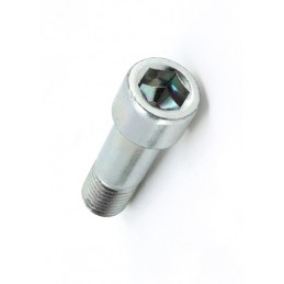 Śruba mocowania wału cf...