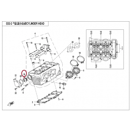Termostat cf moto motocykle...