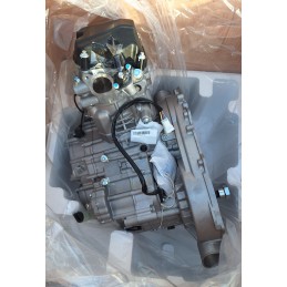 Silnik 191R buggy cf moto...